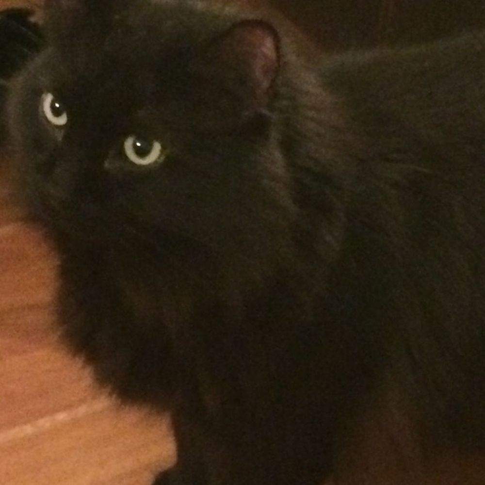 Meet your Posher, Katy